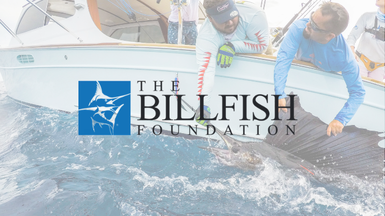 sailfish being held up beside a boat by two fishermen with the Billfish Foundation logo overlayed